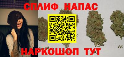 гашик Тула